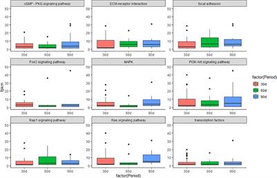 Whole Transcriptome Analysis of Mesenchyme Tissue in Sika Deer Antler Revealed the CeRNAs Regulatory Network Associated With Antler Development